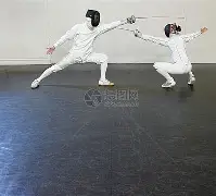 爱游戏- 击剑夜战：钱塘飞鹰队翻盘荆楚犀牛队，临门一脚致胜复盘值得玩味