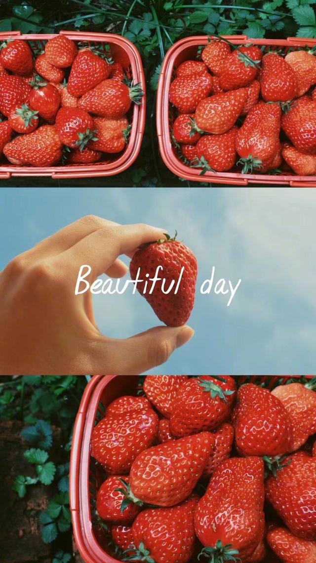 爱游戏-JackeyLove新星精彩发挥表现惊艳，MAD未来可期！的简单介绍